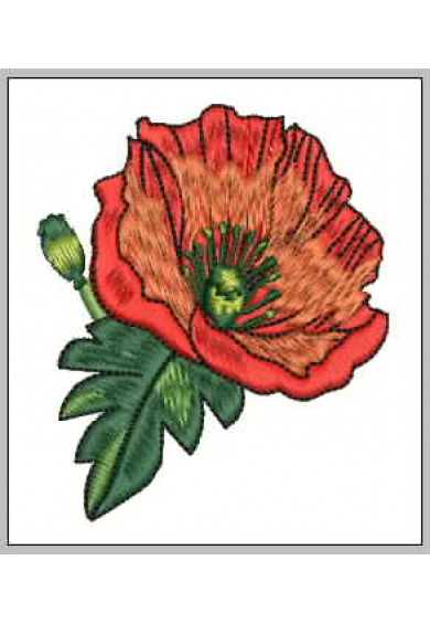 Plf036 - Solo Poppy